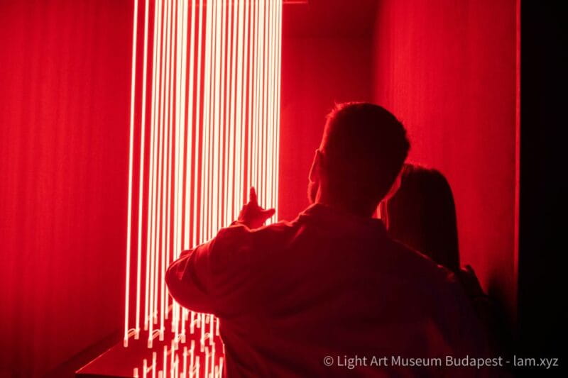 Budapest: Light Art Museum - Immersive New Media Experience - Who Should Visit the Light Art Museum?