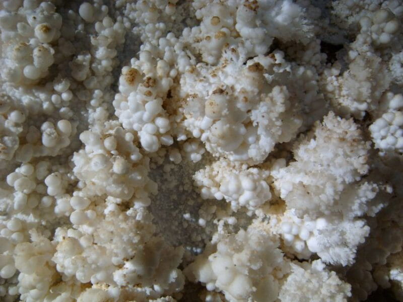 Budapest: Seml-hegyi & Pál-völgyi Caves Guided Walking Tour - Exploring Budapest’s Hidden Underground World