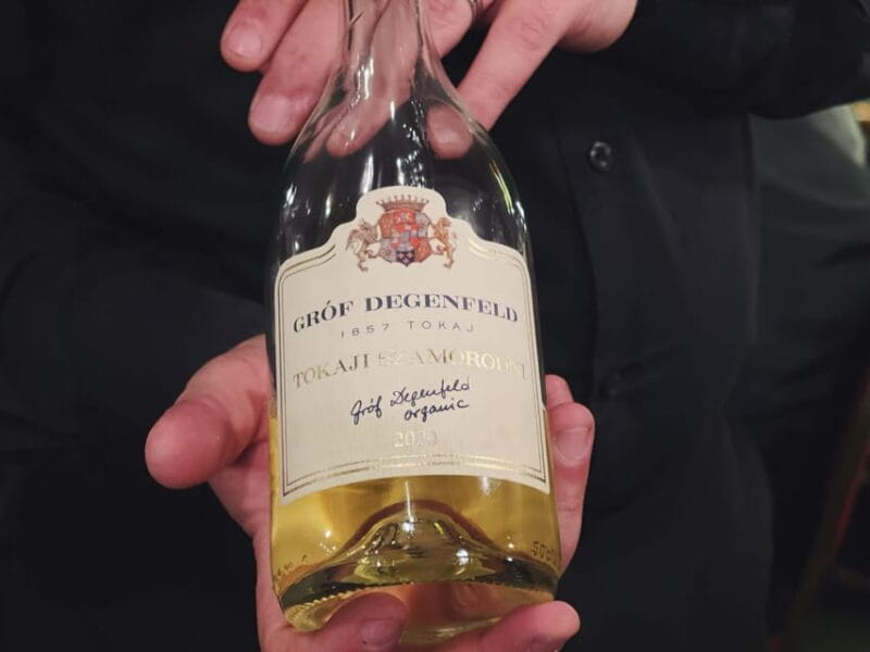 Budapest: Wine & Dine Cruise on the Danube - Who Should Book?