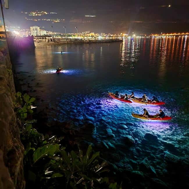 Budva: 2-Hour «Night Lights» Kayak Tour - Who Will Love This Tour and Who Should Skip It