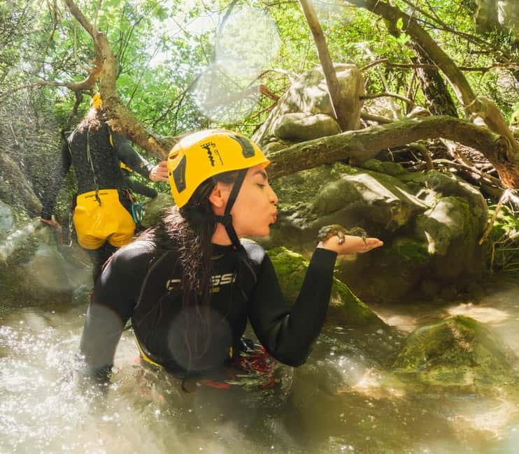 Budva Canyoning: Drenostica Canyon Adventure - Who Will Love This Experience?