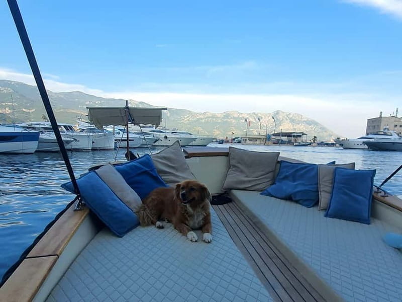 Budva: Private Sightseeing Boat Tour with Swimming & Drinks - The Itinerary in Detail