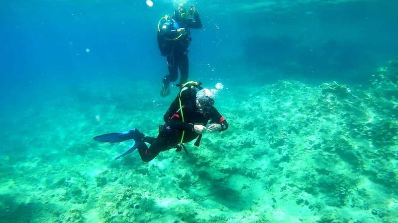 Budva: Scuba Diving Experience - Key Points / Takeaways