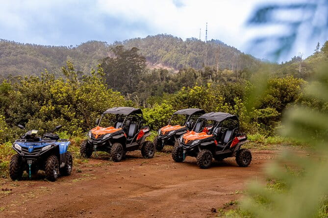 Buggy Adventure in Madeira off Road - Key points / Takeaways