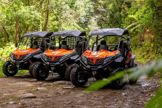 Buggy Adventure in Madeira off Road - Price and value: is it worth it?