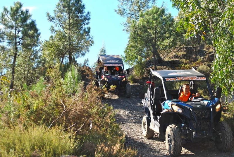 Buggy Family Experience - 60 to 120 minutes - The Scenic Drive in Arouca Geopark