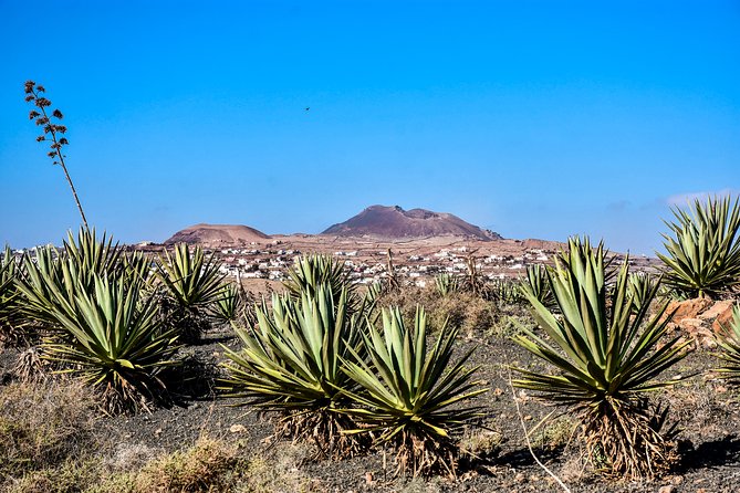 Buggy Fuerteventura Off-Road Excursions - Group Size and Requirements