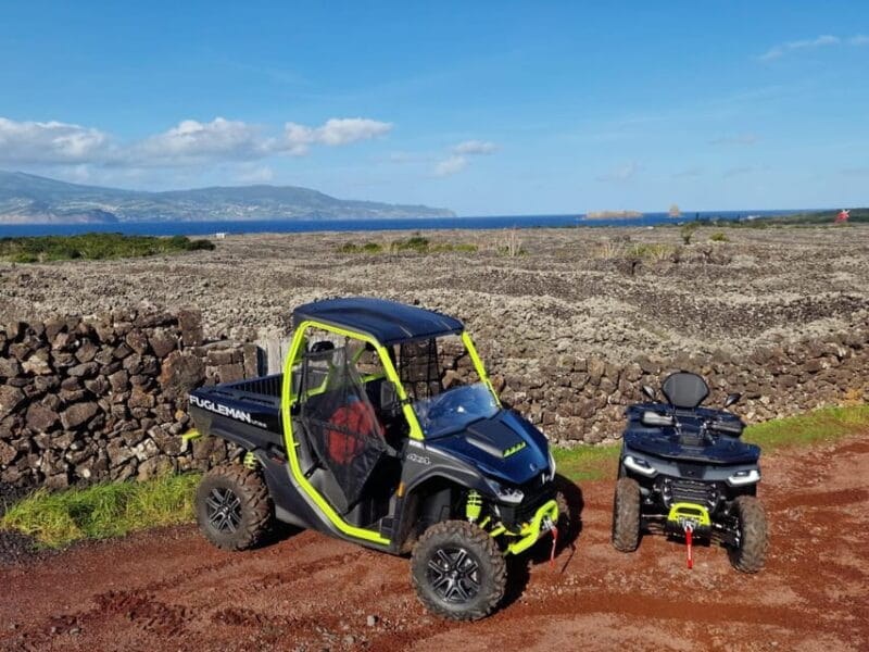 Buggy ride through the vineyards of Pico Island - What to Expect: From Vines to Volcanoes in 3.5 Hours