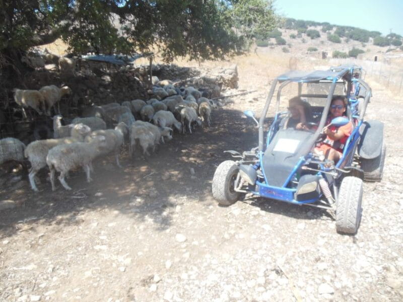 Buggy safari Crete (Transfer and lunch) analipsi- hersonisos - Who Will Love This Tour?