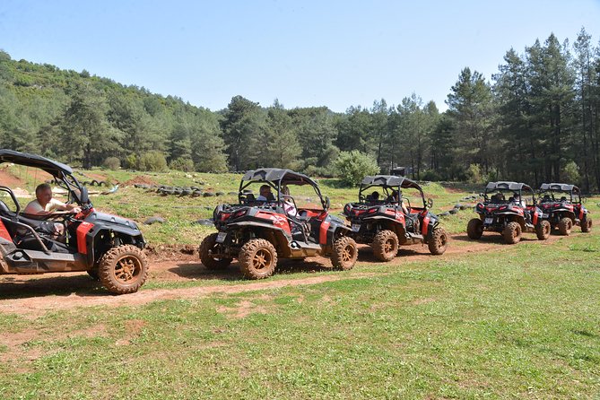 Buggy Safari - Scenic Pine Forest Trails