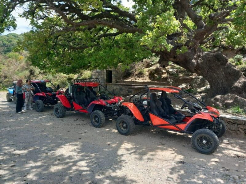 buggy safari half day 4 hours 4 hours ( hersonissos -Malia) - Key points/Takeaways