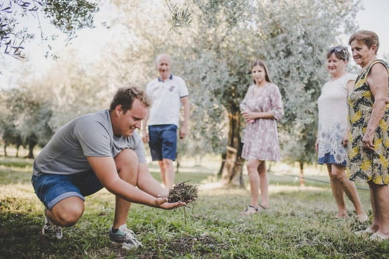 Buje: Istrian Family Farm with Walking Tour, Food, and Wine - Entering the Heart of Istrian Agriculture