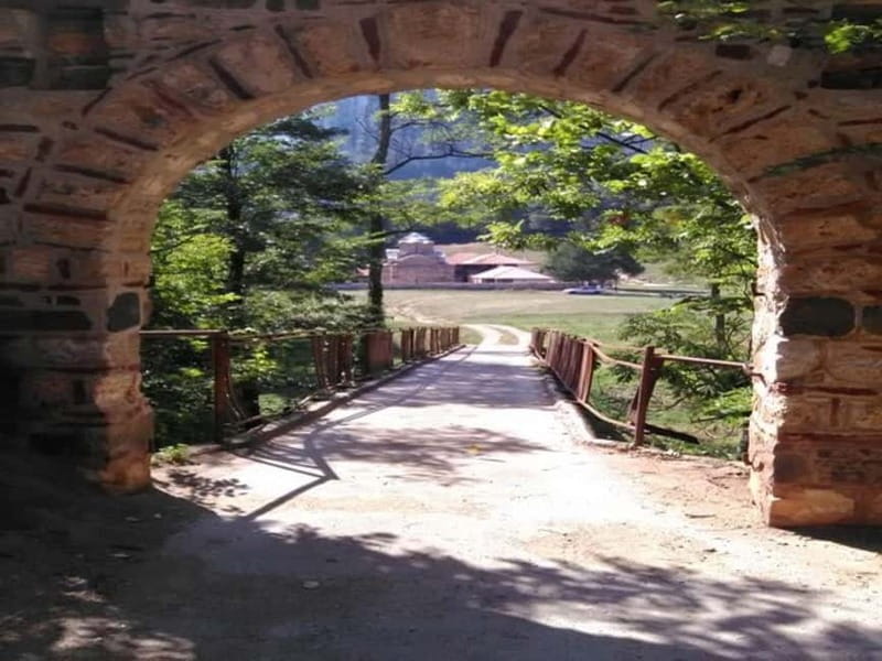 Bulgaria and Serbia Full Day Tour from Sofia - Who Will Love This Tour?