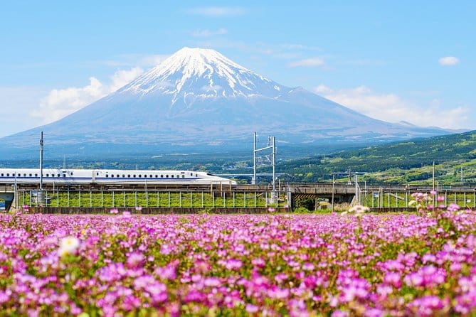 Bullet Train and Mt. Fuji Famous Food Tour - Inclusions and Exclusions
