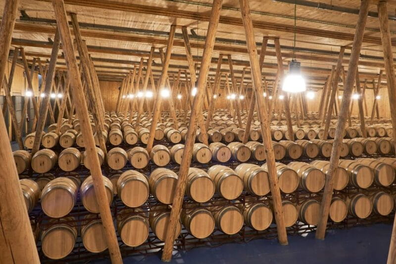 Burgos: Bela Winery - Villalba de Duero - Key points / takeaways