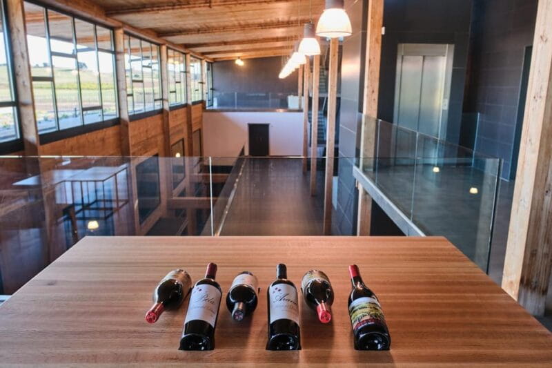 Burgos: Bela Winery - Villalba de Duero - Tasting and Gastronomy: More Than Just a Sip