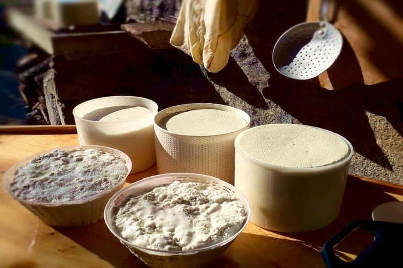 Burgos: Sardinian Pecorino Cheese Workshop - Who Will Appreciate This Experience?