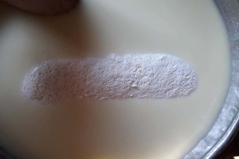 Burgos: Sardinian Pecorino Cheese Workshop - Final Thoughts