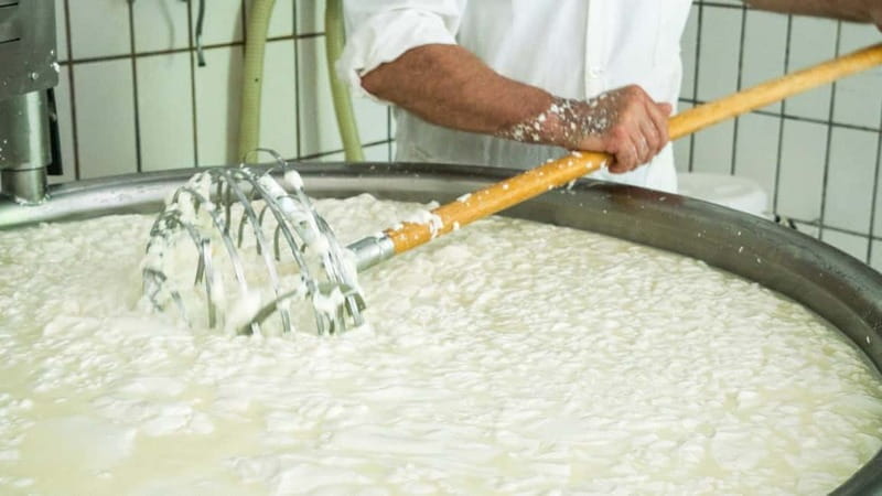 Burgos: Sardinian pecorino cheese workshop - Who Will Love This Experience?