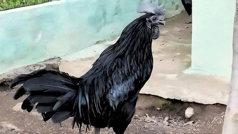 Burgos: visit to a farm with tasting - Who Will Love This Experience?