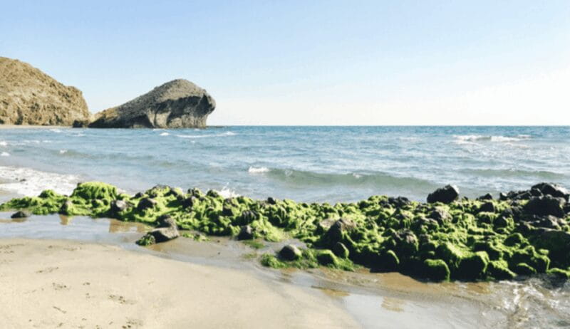 Cabo de Gata: 4x4 Tour Genoveses, Monsul and Gold Mines - The Adventure Begins in San José