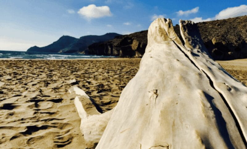 Cabo de Gata: 4x4 Tour Genoveses, Monsul and Gold Mines - Practical Details and Value