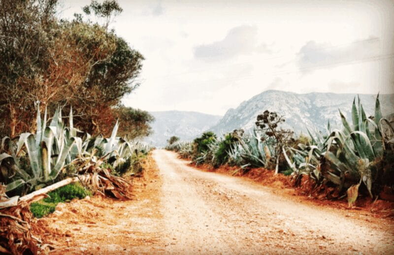 Cabo de Gata: 4x4 Tour Genoveses, Monsul and Gold Mines - Who Will Love This Tour?