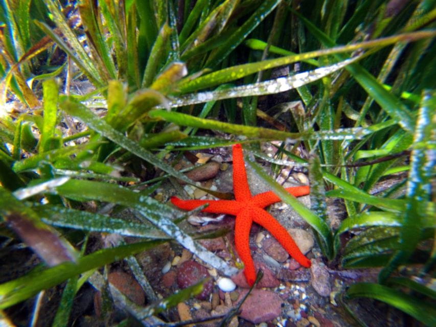 Cabo De Gata: Natural Park Kayaking and Snorkel Excursion - Inclusions and Equipment