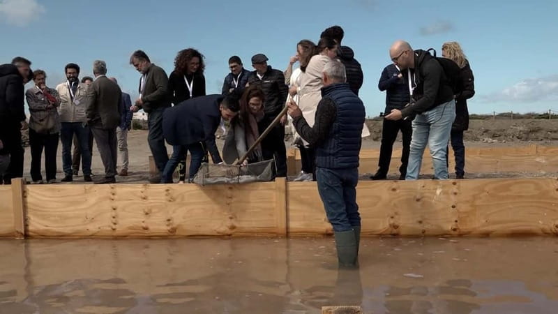 Cabo De Gata Salt Flats: Salt worker for a day. - Key points / Takeaways