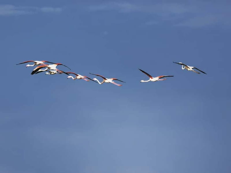 Cabo De Gata Salt Flats: Salt worker for a day. - The Experience in Detail