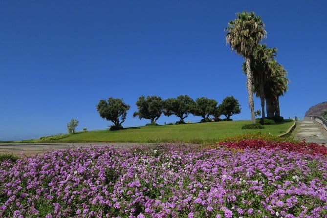 Cabo Girão & mountains 4x4 tour - Who Should Consider This Tour?