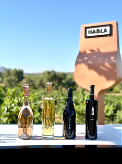 Cáceres: Bodegas Habla - The Setting: Scenic, Modern, and Authentic