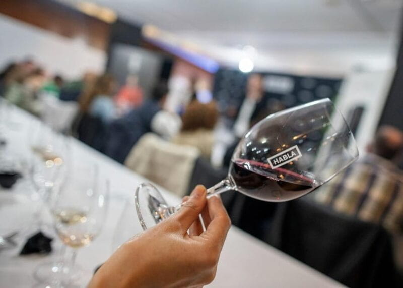 Cáceres: Bodegas Habla - Who Will Love This Experience?