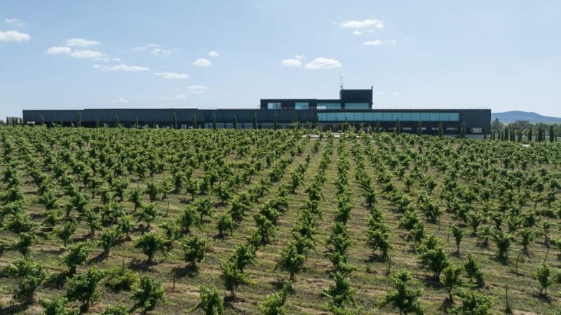 Cáceres: Bodegas Habla - Final Thoughts: Is It a Worthwhile Stop?