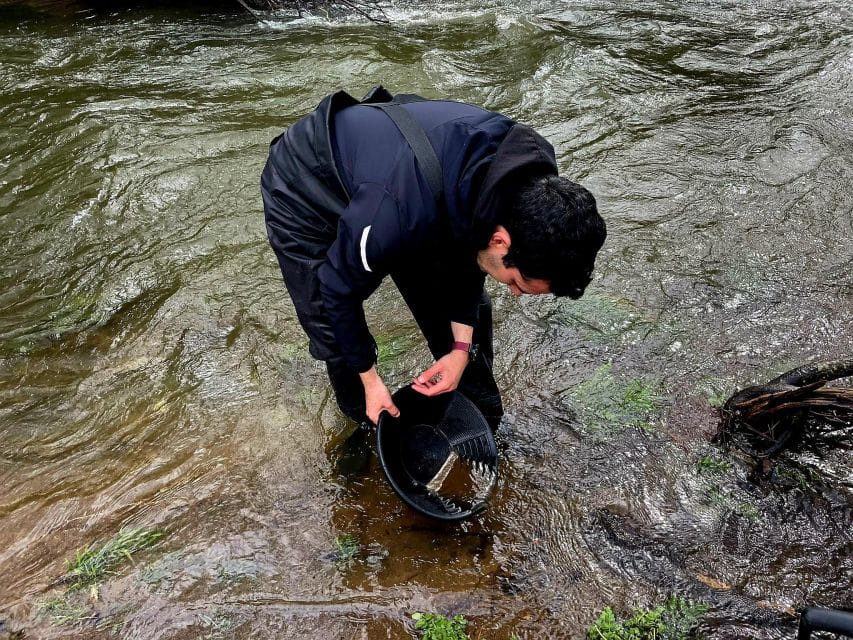 Cáceres: Gold Searching and Panning With an Expert Guide - Key Points
