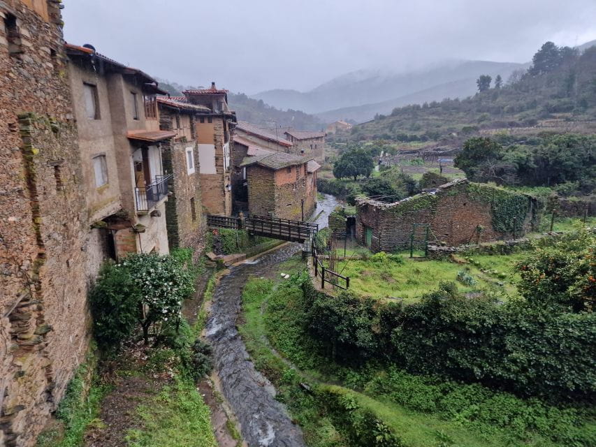 Cáceres: Gold Searching and Panning With an Expert Guide - Expert Guidance and Learning