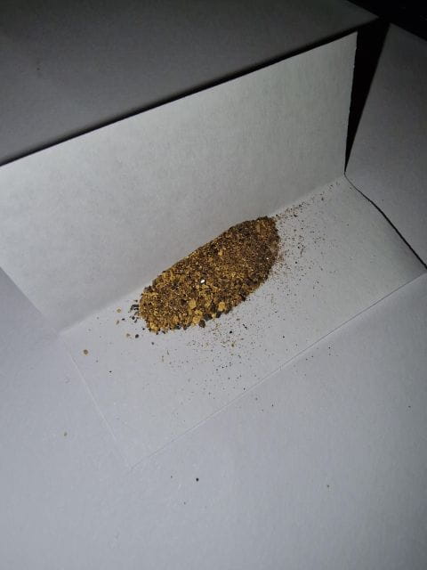 Cáceres: Gold Searching and Panning With an Expert Guide - Pricing and Booking Information