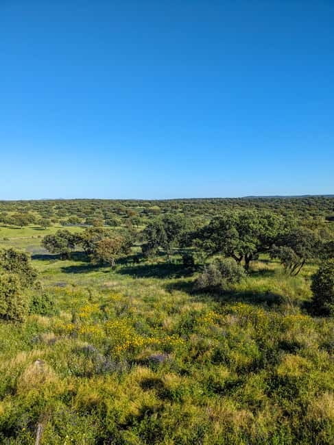 Cáceres: Monfrague Wildlife Full-Day Tour - Discovering the Wildside of Spain: Cáceres’ Monfrague Wildlife Full-Day Tour