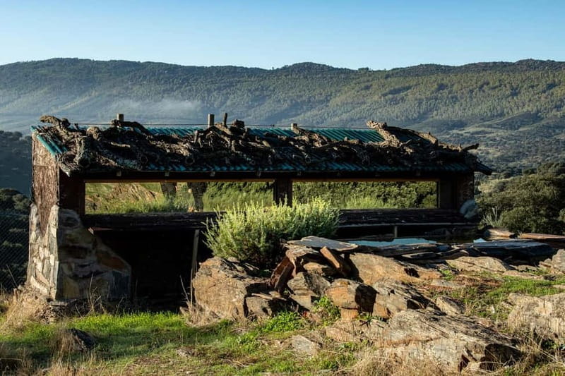 Cáceres: Monfrague Wildlife Full-Day Tour - The Vulture Hide Experience: Up Close and Personal