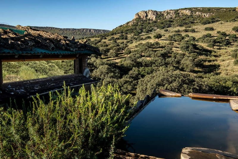 Cáceres: Monfrague Wildlife Full-Day Tour - Price and Logistics: Worth the Investment