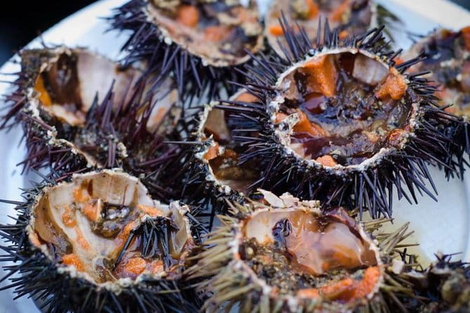 Cadiz: 3-Hour Tapas Tour - An In-Depth Look at the Cádiz Tapas Tour