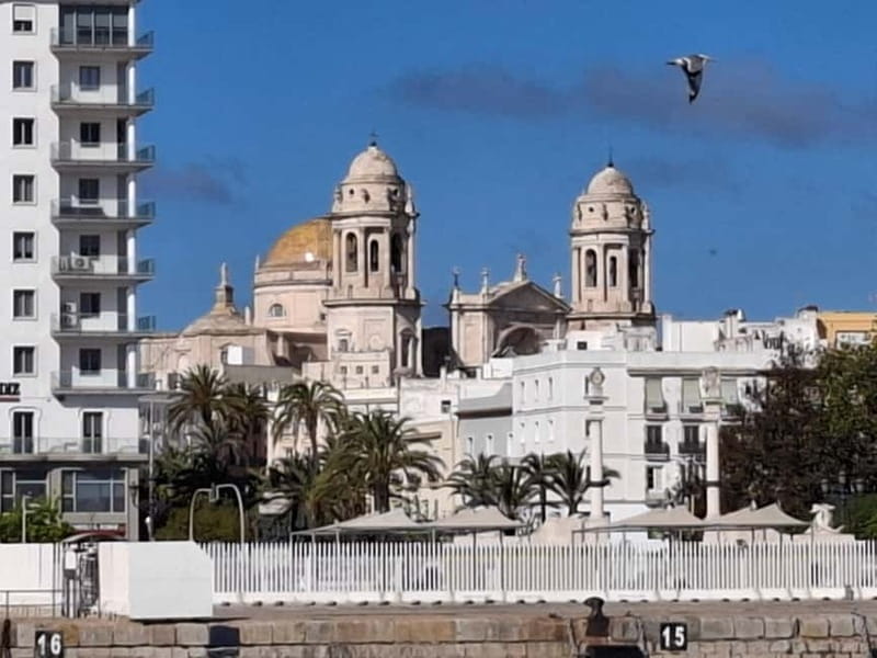 Cadiz and its Bay: a day trip from Seville - Crossing the Bay: Catamaran Ride and Maritime Views
