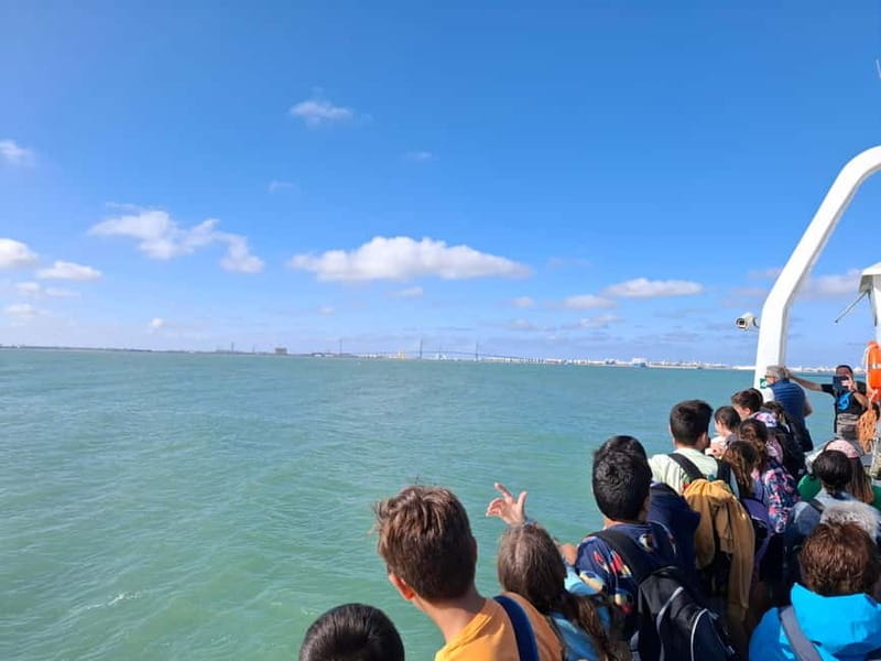 Cadiz and its Bay: a day trip from Seville - Walking Through Cadiz: A City of Narrow Streets and Historic Landmarks