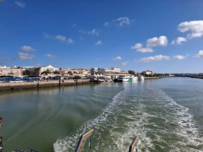Cadiz and its Bay: a day trip from Seville - Price and Value