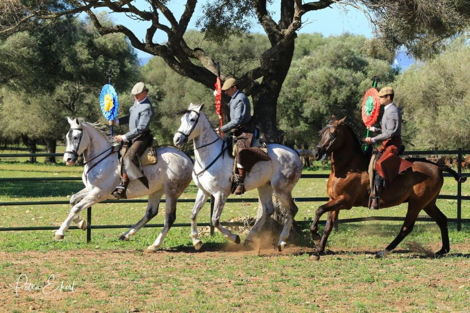 Cadiz: Andalusian Horses and Bulls Country Show - What to Expect
