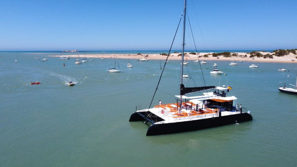 Cadiz: Bay of Cadiz Catamaran Tour With Host - Key Highlights of the Experience