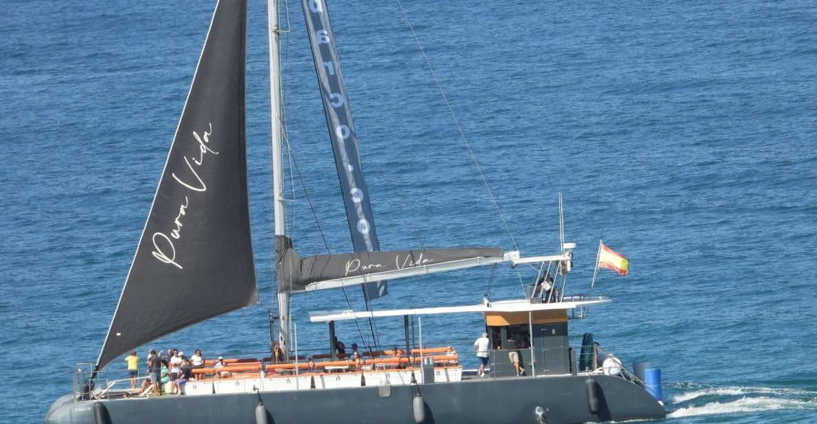 Cadiz: Bay of Cadiz Catamaran Tour With Host - Detailed Itinerary