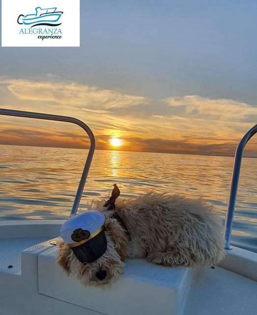 Cadiz Bay: Sunset boat tour "Fall in Love" - Setting the Scene: A Private Cruise for Two