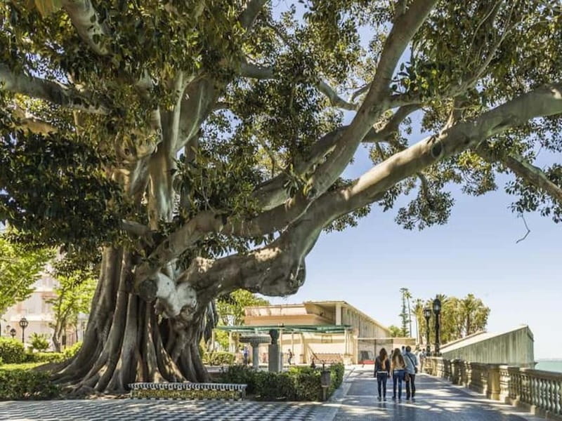 Cadiz: Enigmas City Tour - Discovering Cádiz’s Hidden Stories: The Enigmas City Tour