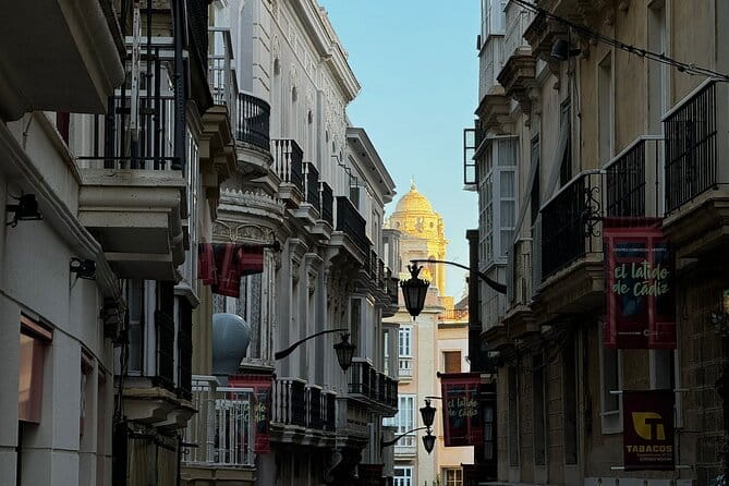 Cadiz from a Seagull's Eye View: A Route Between Rooftops and Observation Towers - Who This Tour Is Best For